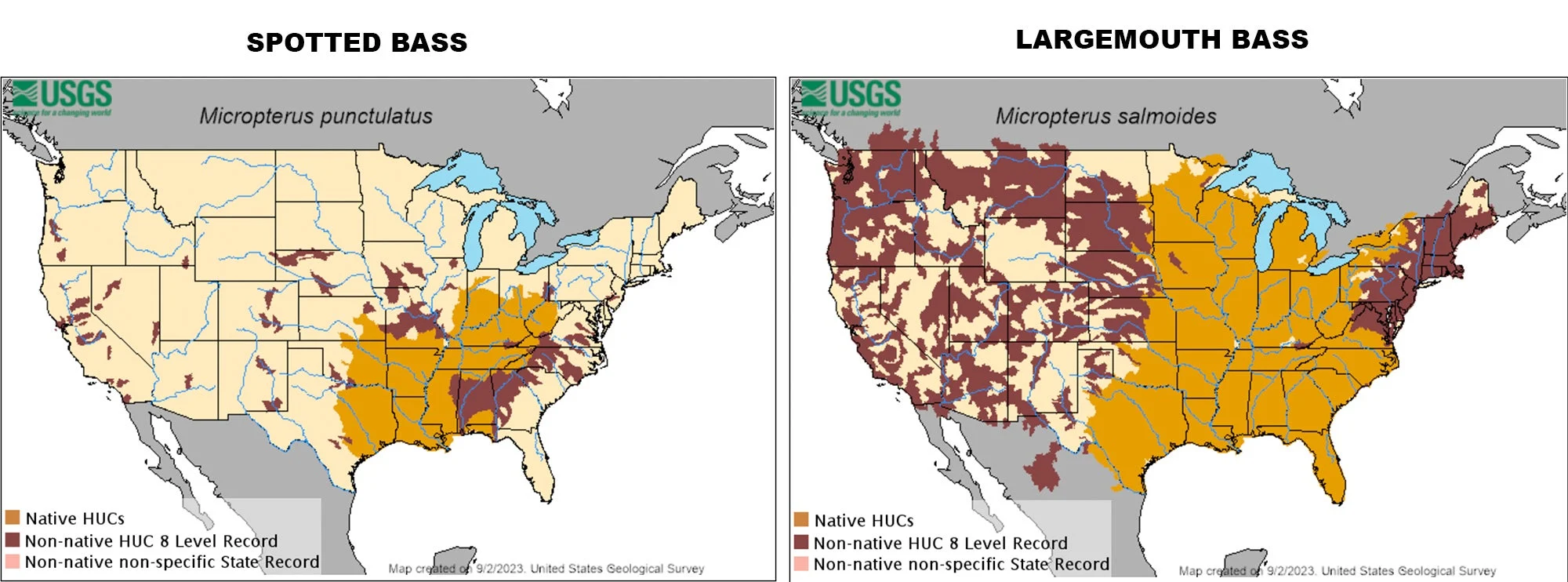 U.S. Geological Survey maps showing the ranges of spotted bass and largemouths