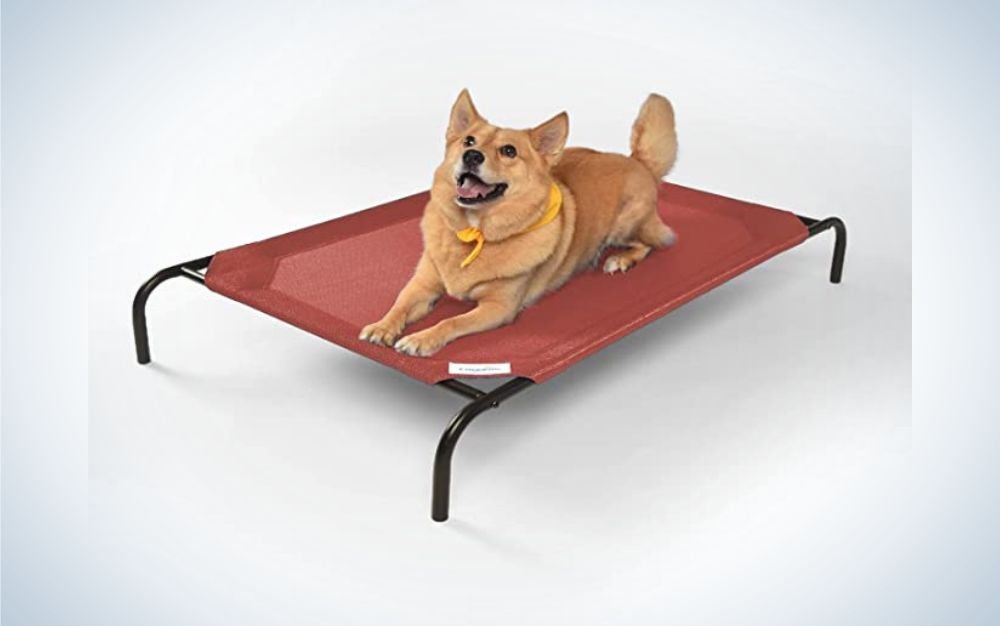 Best outdoor dog beds for large dogs hotsell