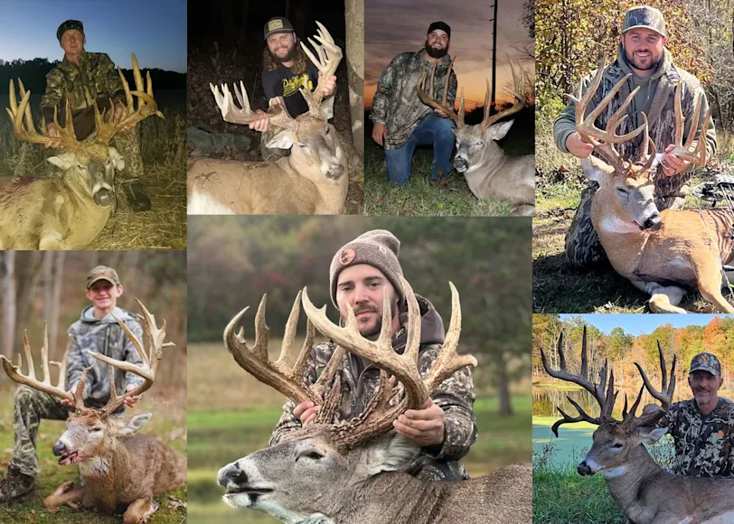 A collage of big whitetail bucks taken by deer hunters in Ohio in 2024.