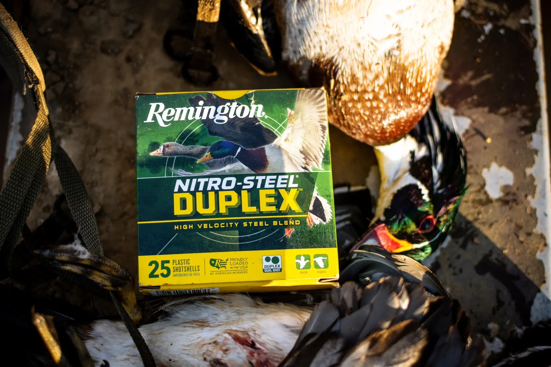 A box of Remington ammunition next to a wood duck