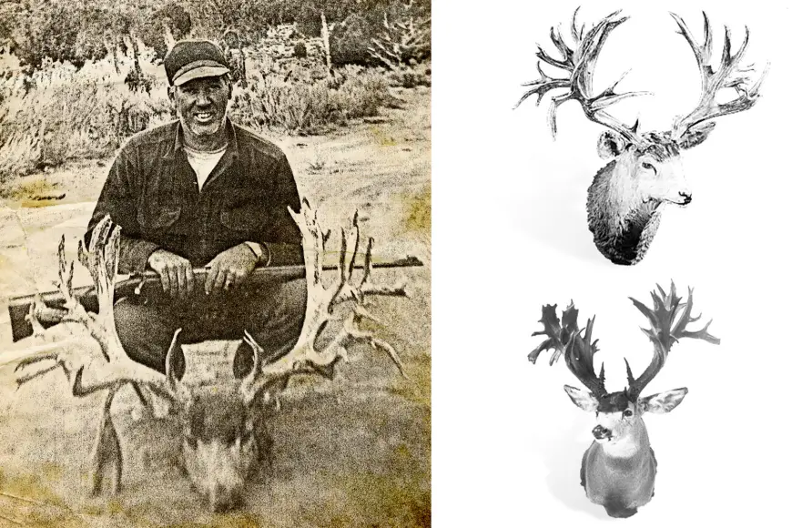 Three record mule deer photos from the Boone & Crockett archives. 