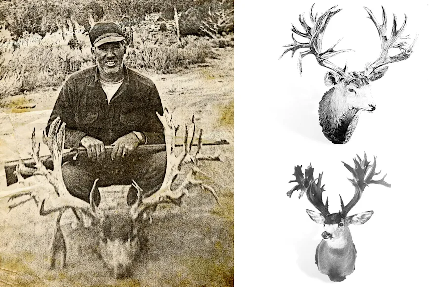 Three record mule deer photos from the Boone & Crockett archives.