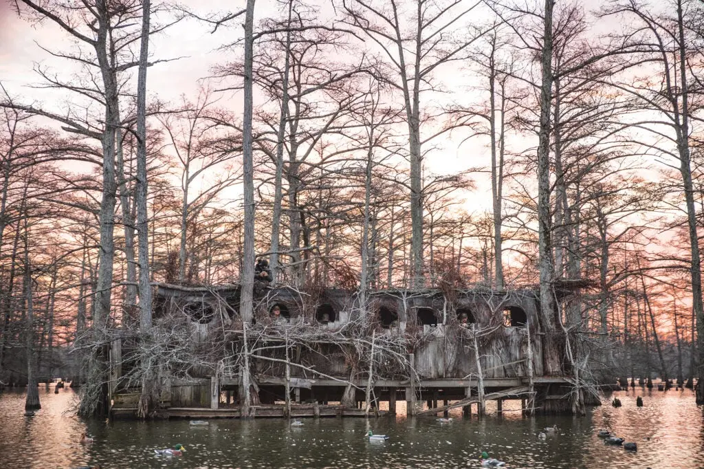 Beaver dam lake