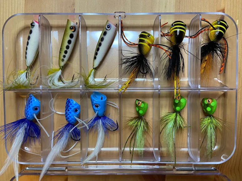 An assortment of colorful bass popper-style lures in a clear plastic tray