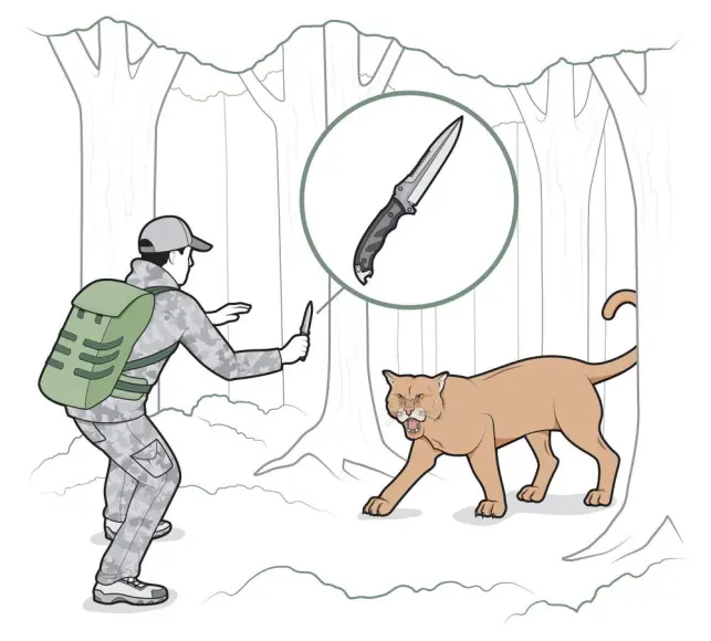 how to fend off a wild animal with a knife