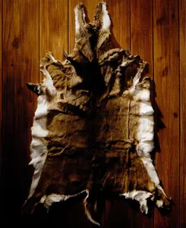 A deer hide on the floor.