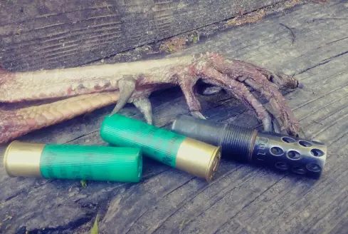 Choke and shotshells laying next to turkey legs