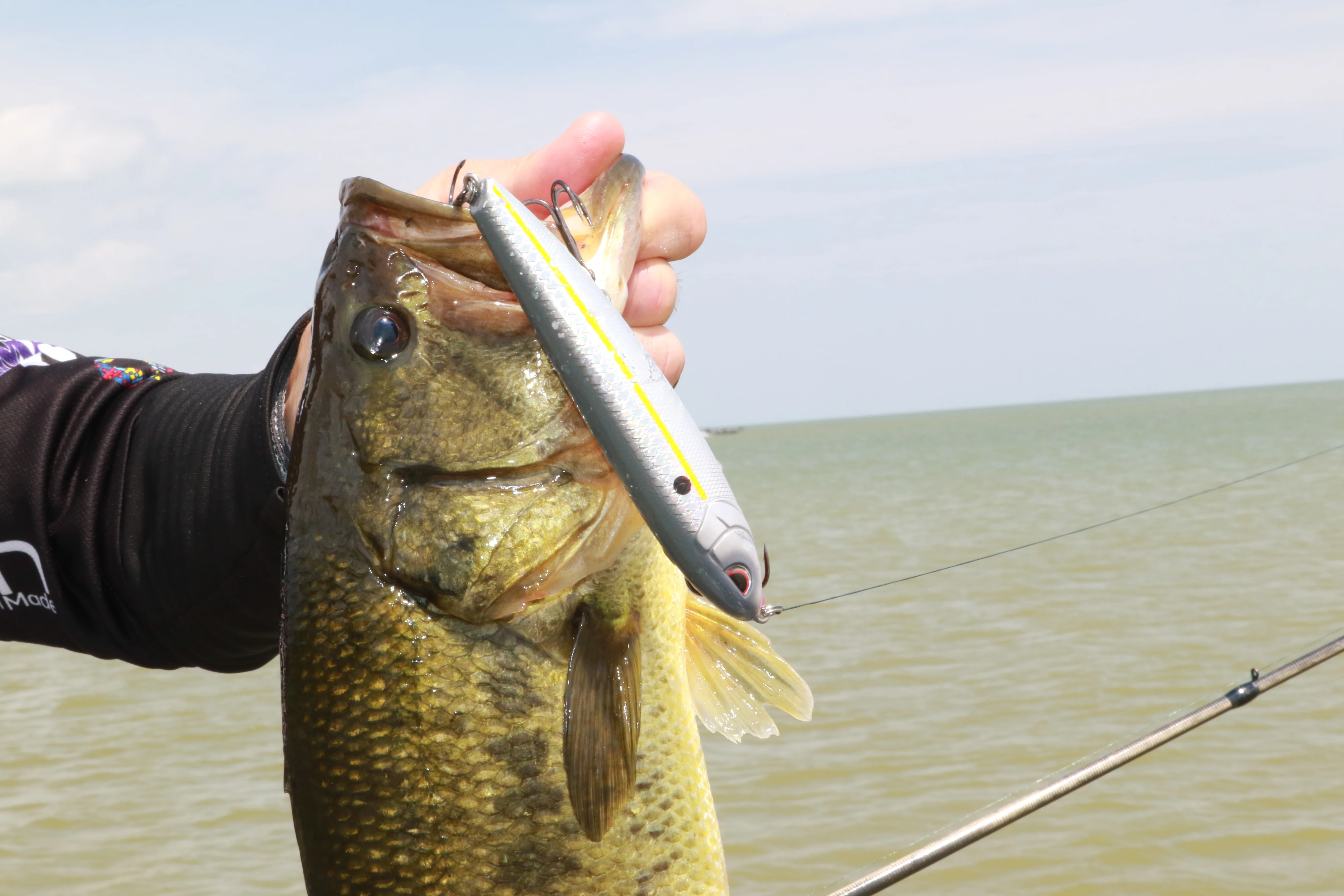 An angler holds up a nice largemouth bass taken on a large walking-style topwater bait. 