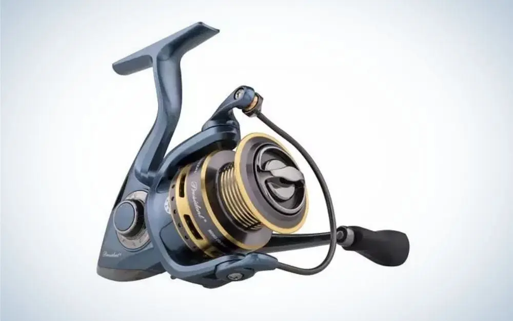 Pflueger President