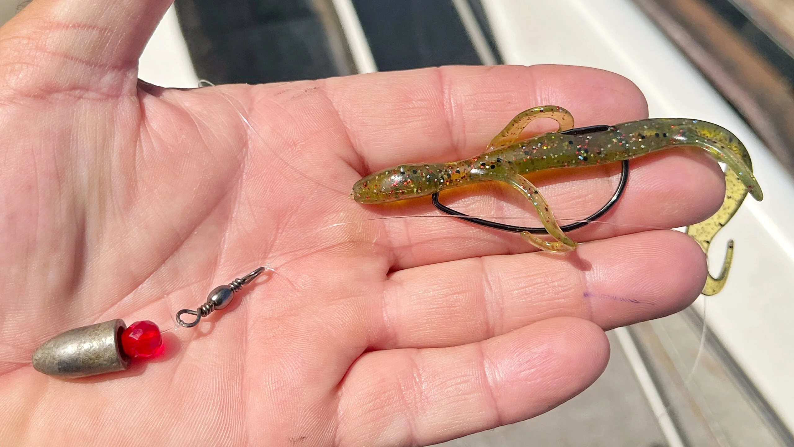 photo of setup for Carolina rig fishing