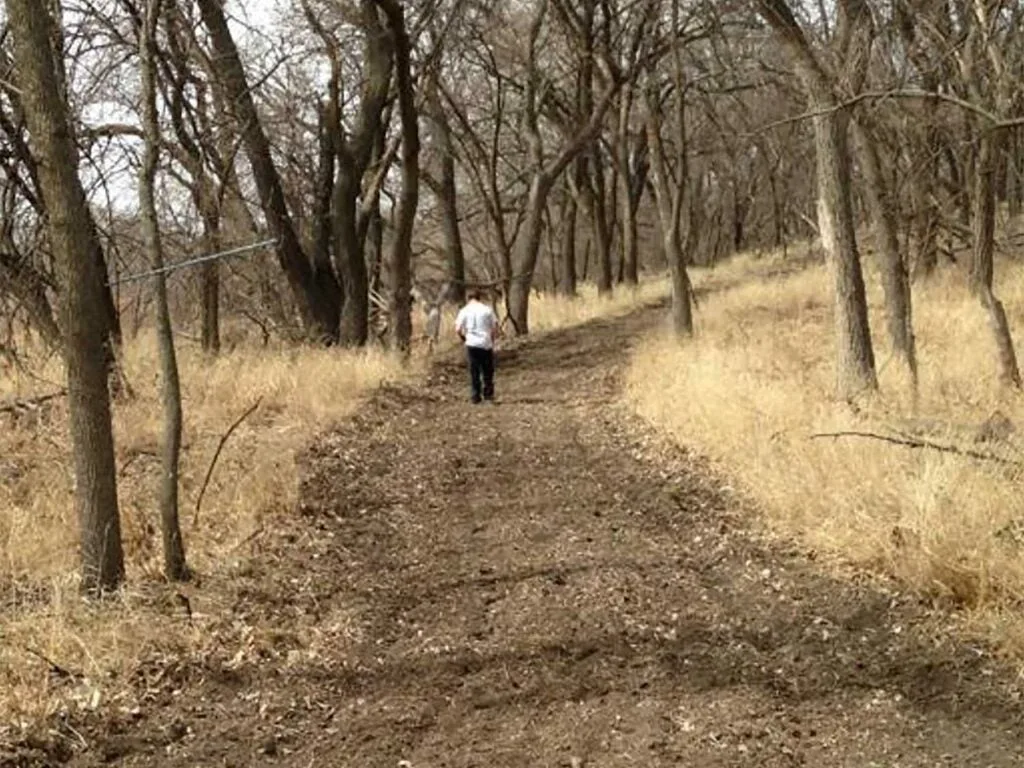 a hunter walking on a deer path for a food plot.