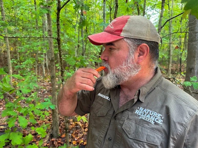 A man wearing a gray shirt and red hat blows a survival whistle in a the woods