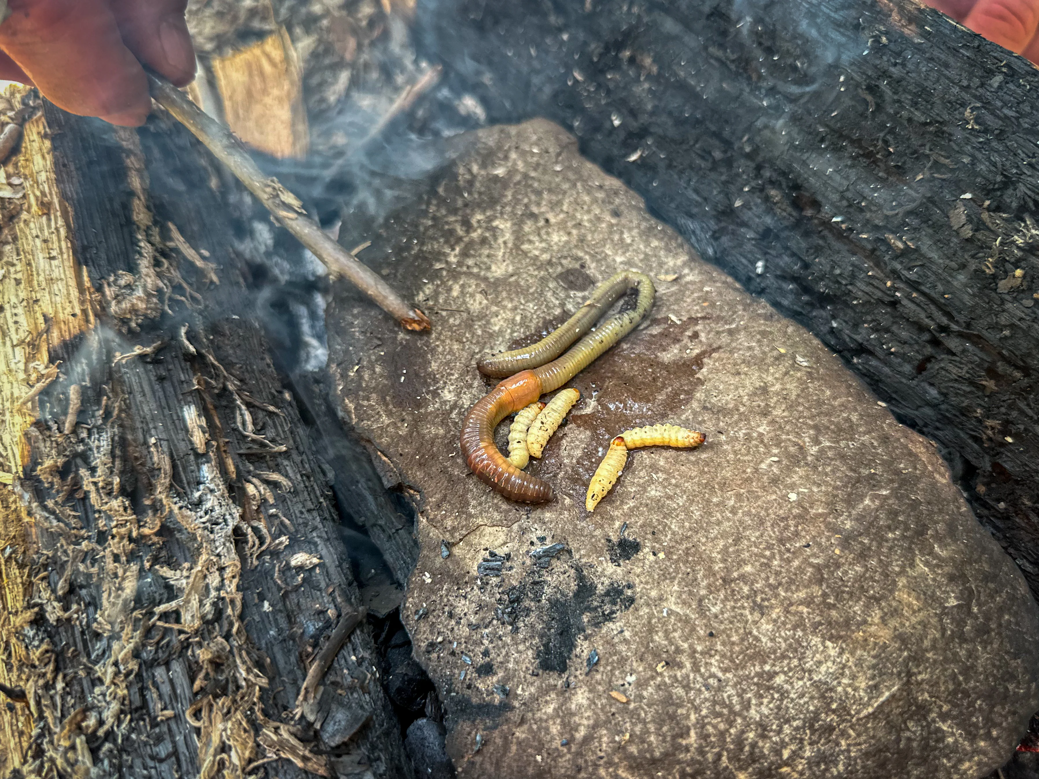 Cooking on rock