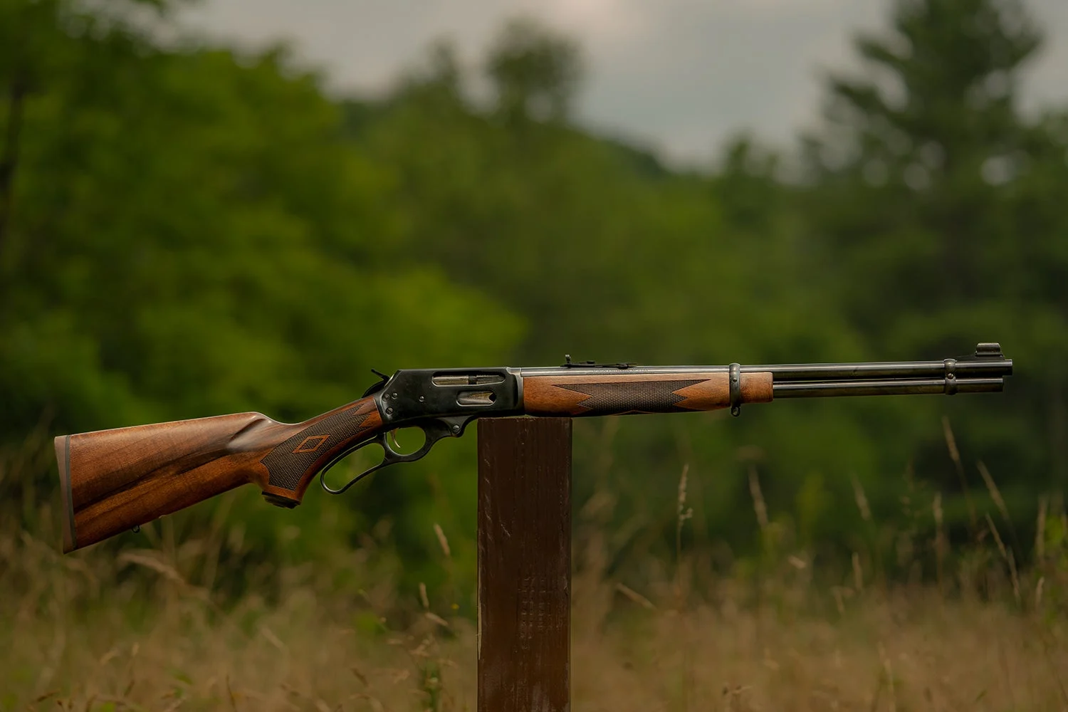 marlin rifle balanced on post with trees in background