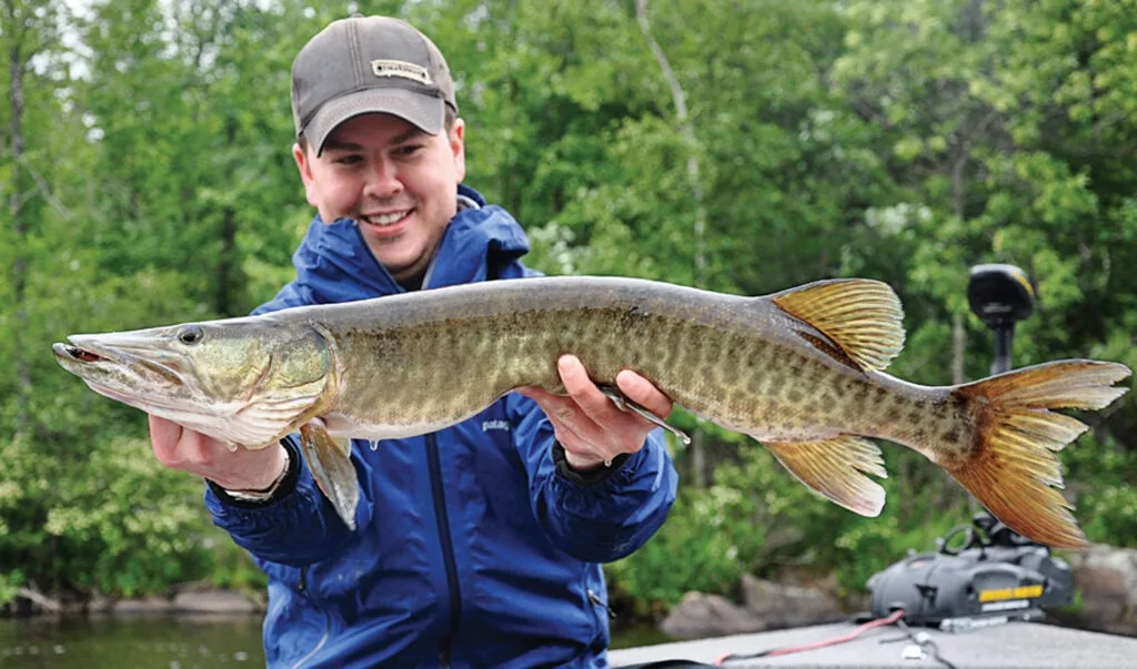 fisherman with a muskie, the fish of 10000 casts