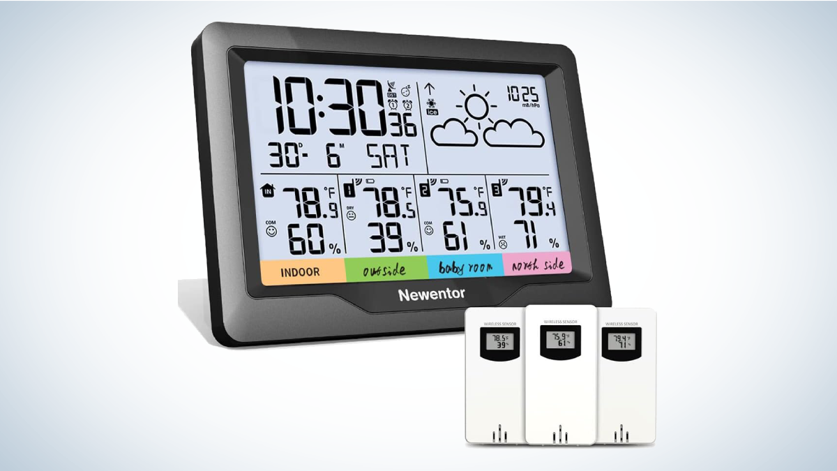 Best Home Weather Stations: Newentor Weather Station