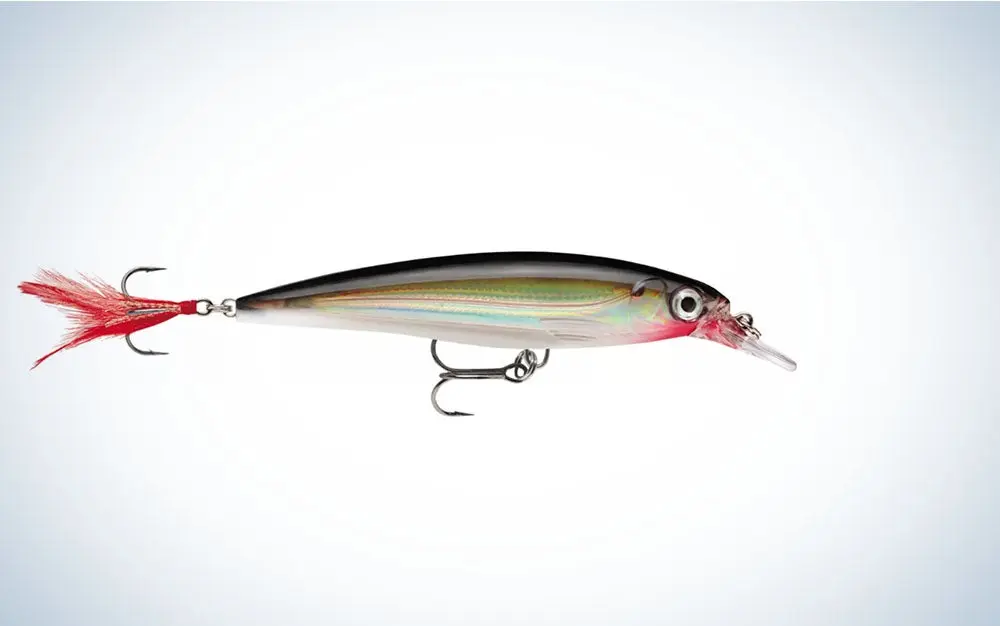 Rapala X-Rap Slashbait