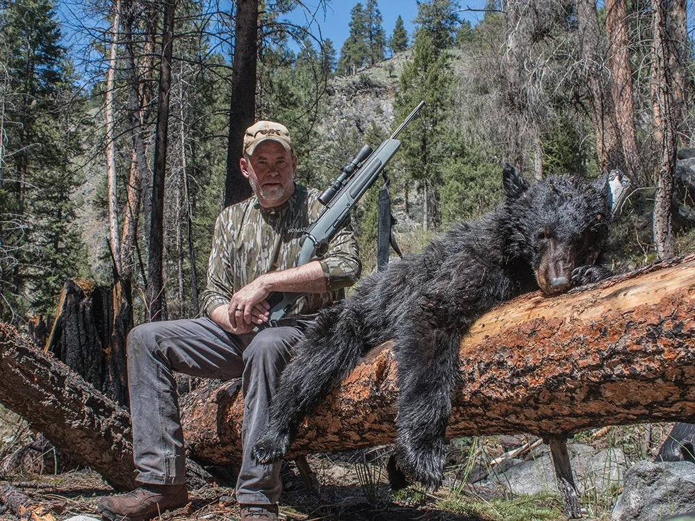 silver-backed black bear