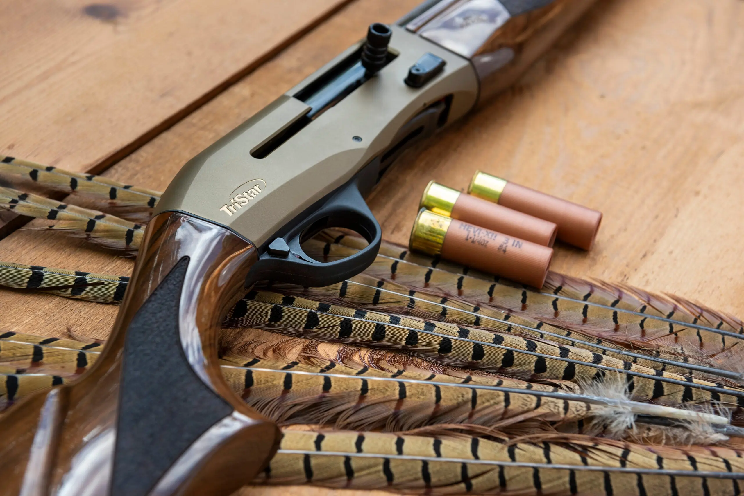 Close-up of Tristar Viper G2 Pro shotgun lying on a table with shotgun shells and pheasant tail feathers.