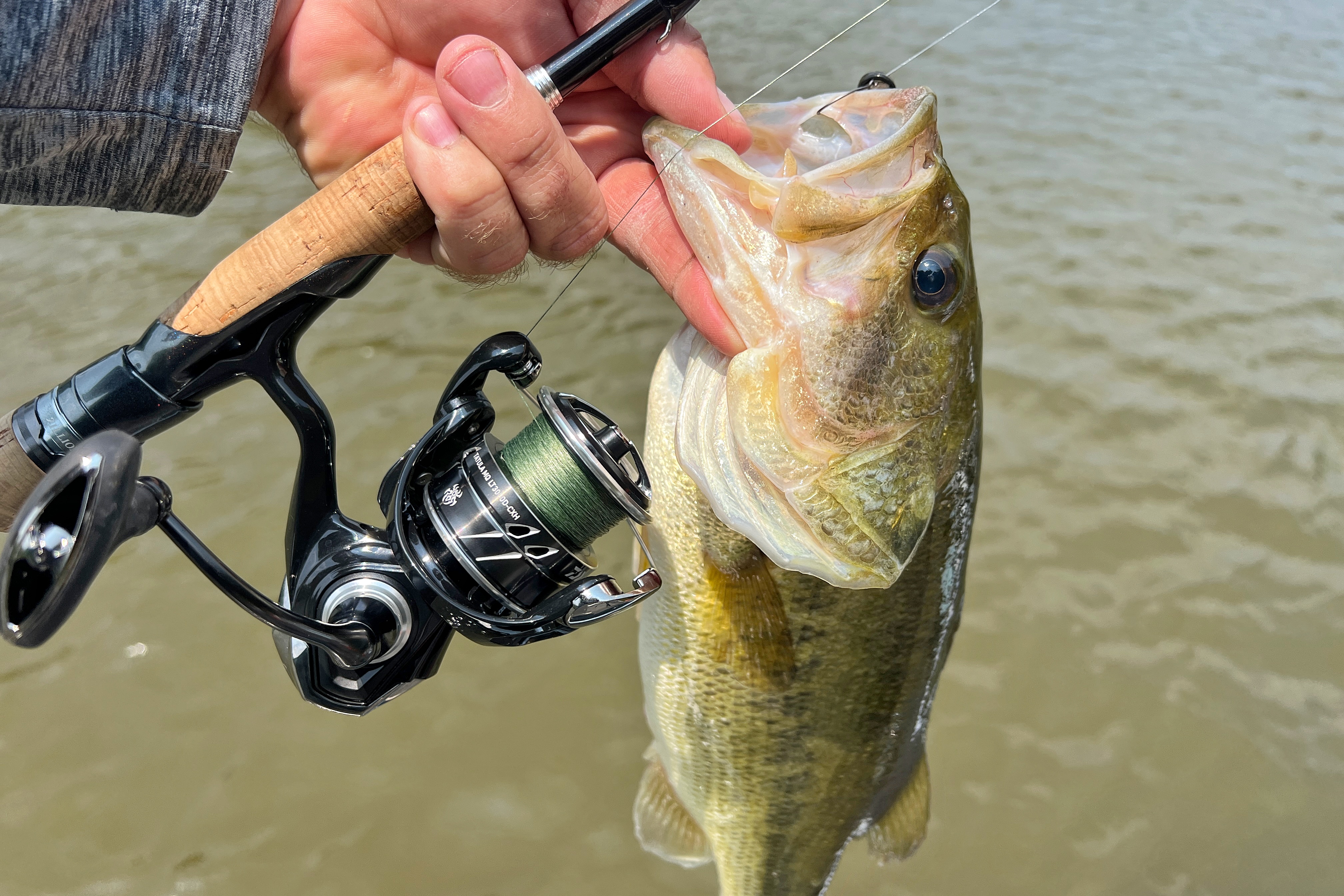 Daiwa Tatula MQ LT spinning reel