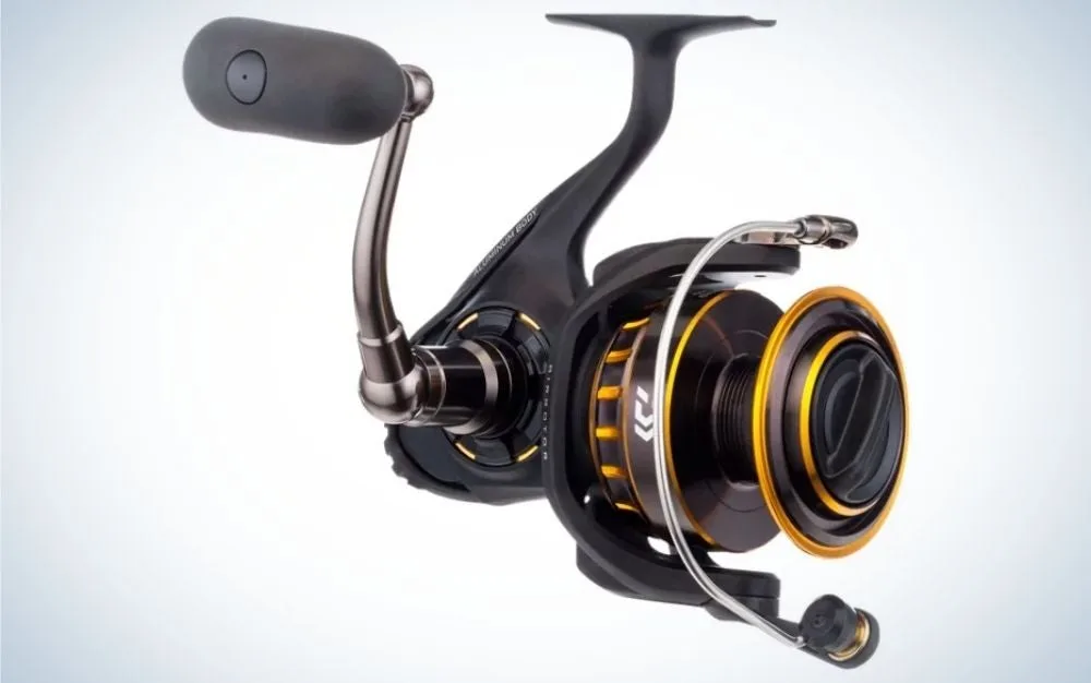 Daiwa BG is the best fishing reel for saltwater.