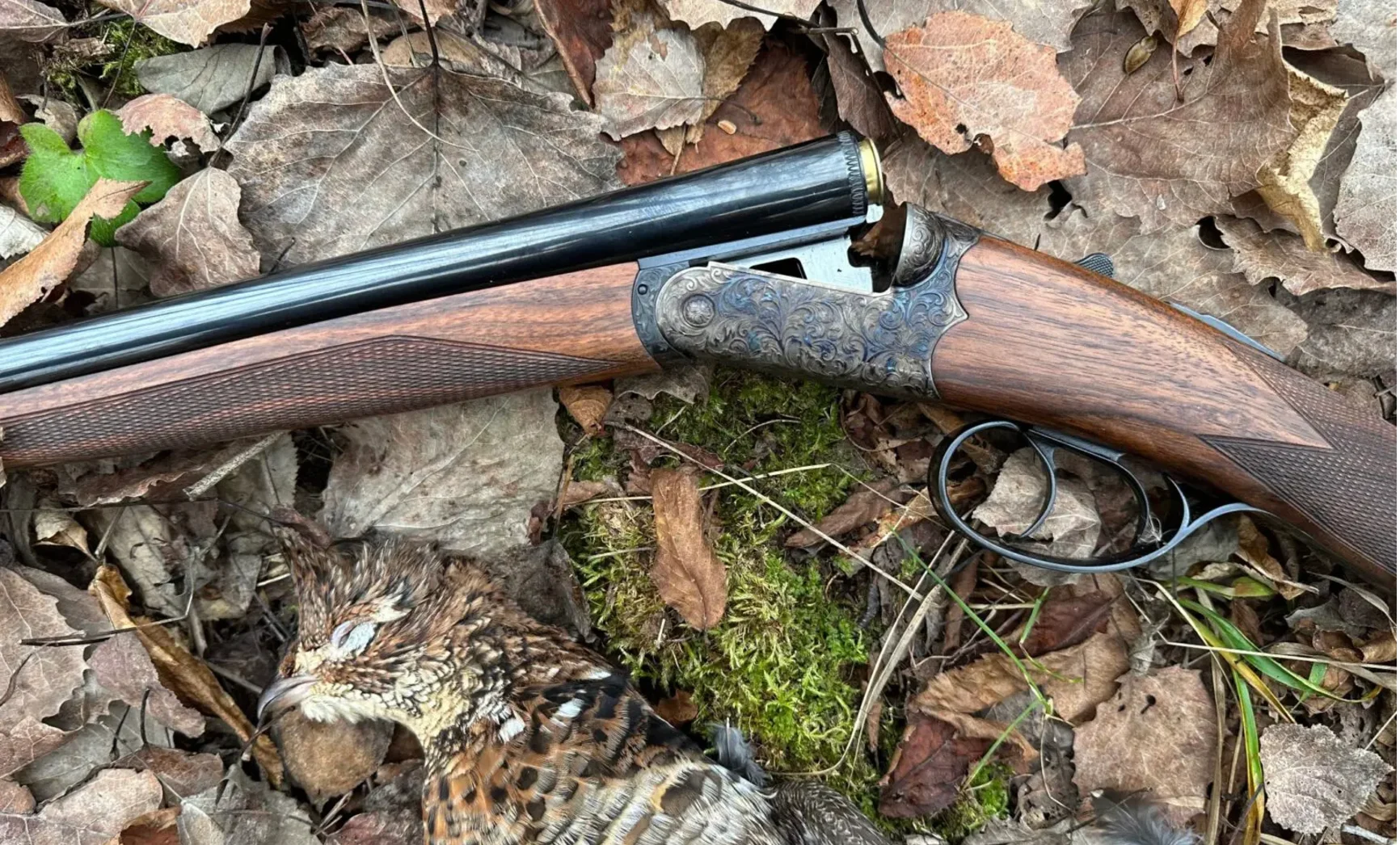 Upland Gun Company Venus side-by-side shotgun on forest floor with ruffed grouse.