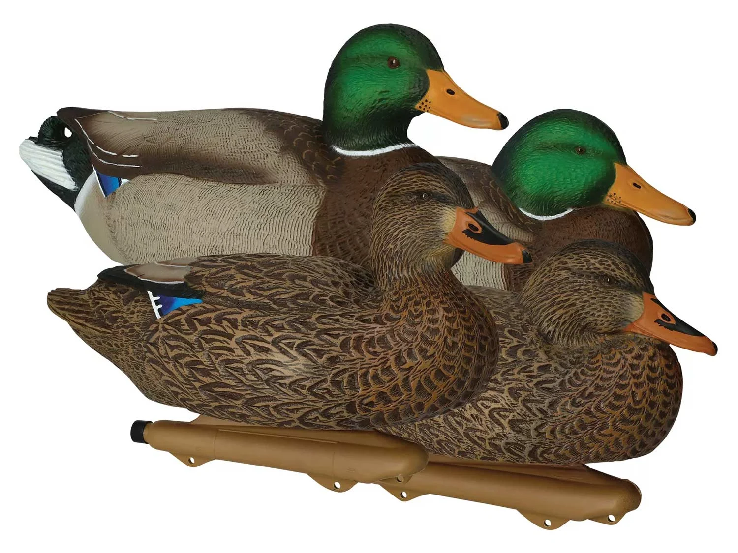 Cabelaâs Northern Flight oversized mallard decoys.