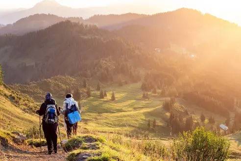 people hiking on trail