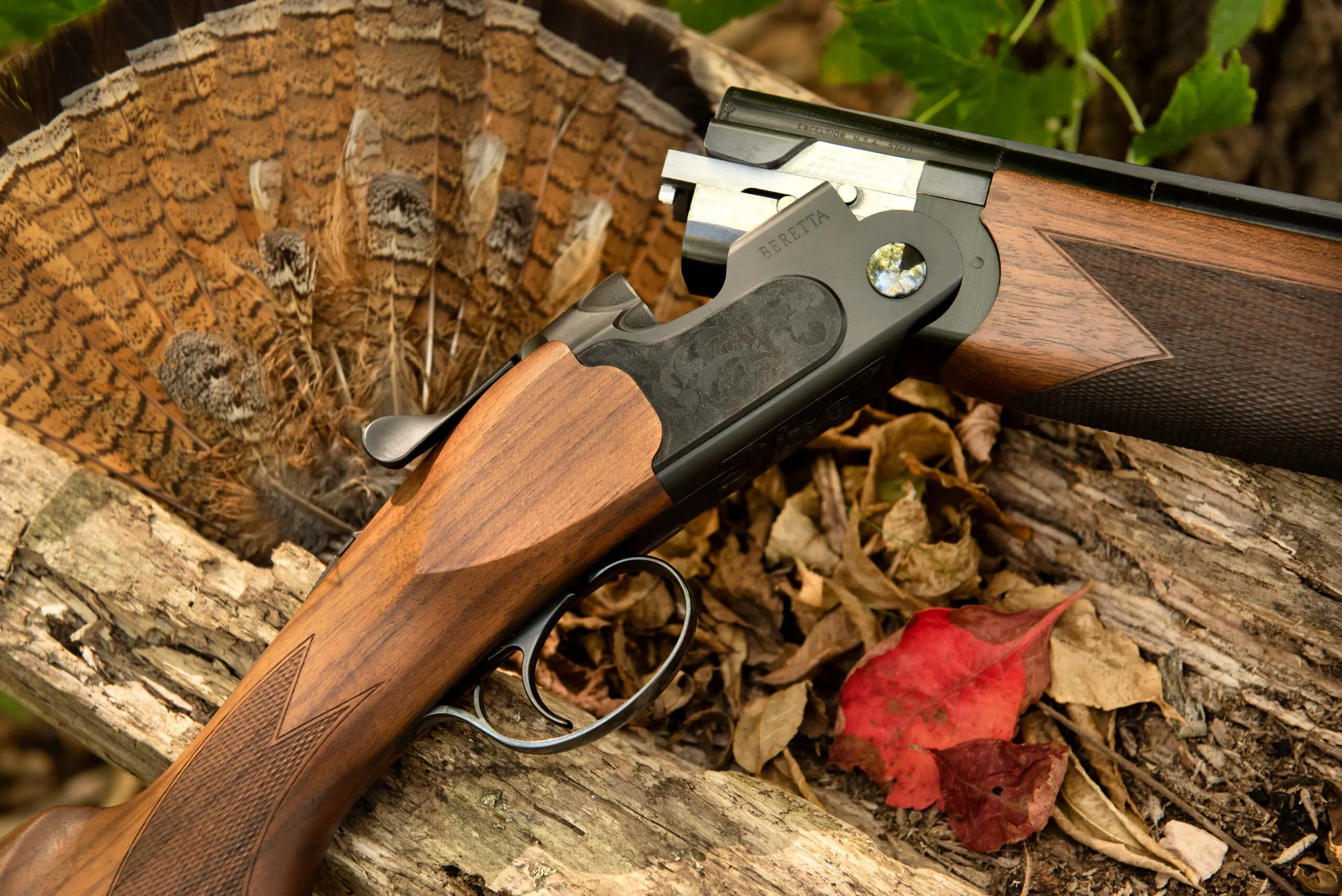 Close-up of the new Beretta Ultraleggero over/under shotgun, with ruffed grouse tail fan.