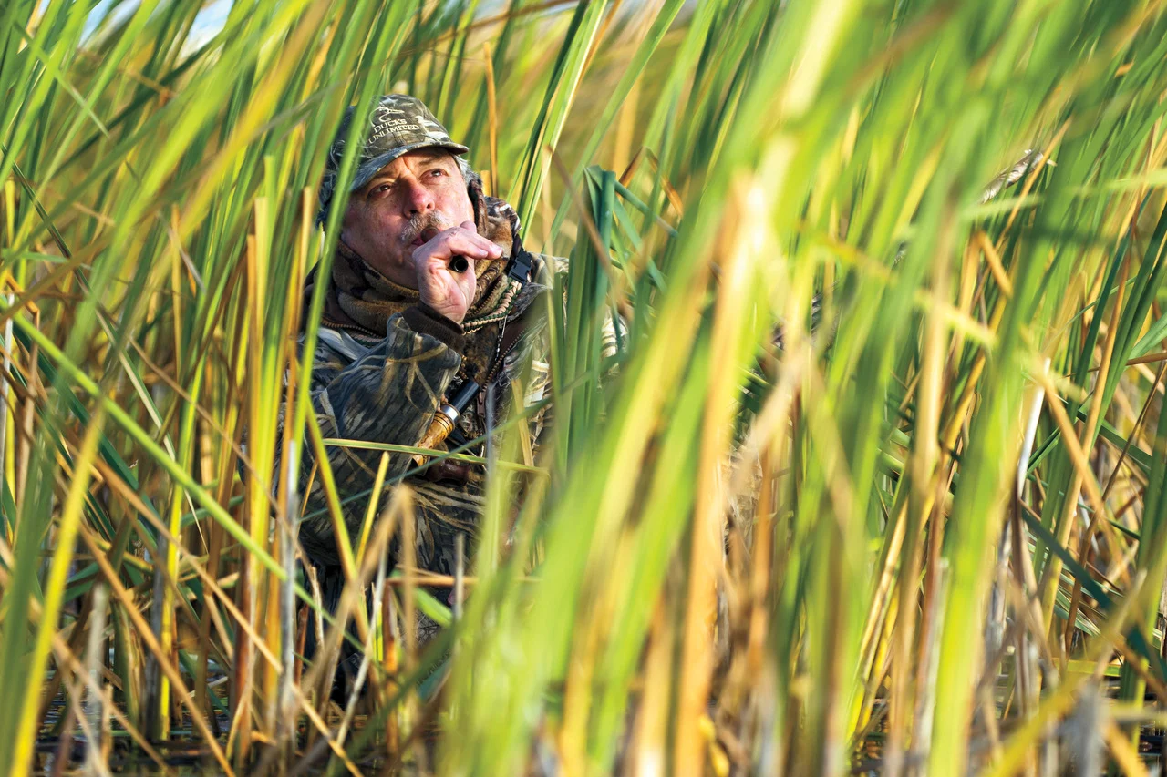 Hunter hiding in the reeds blowing a duck call