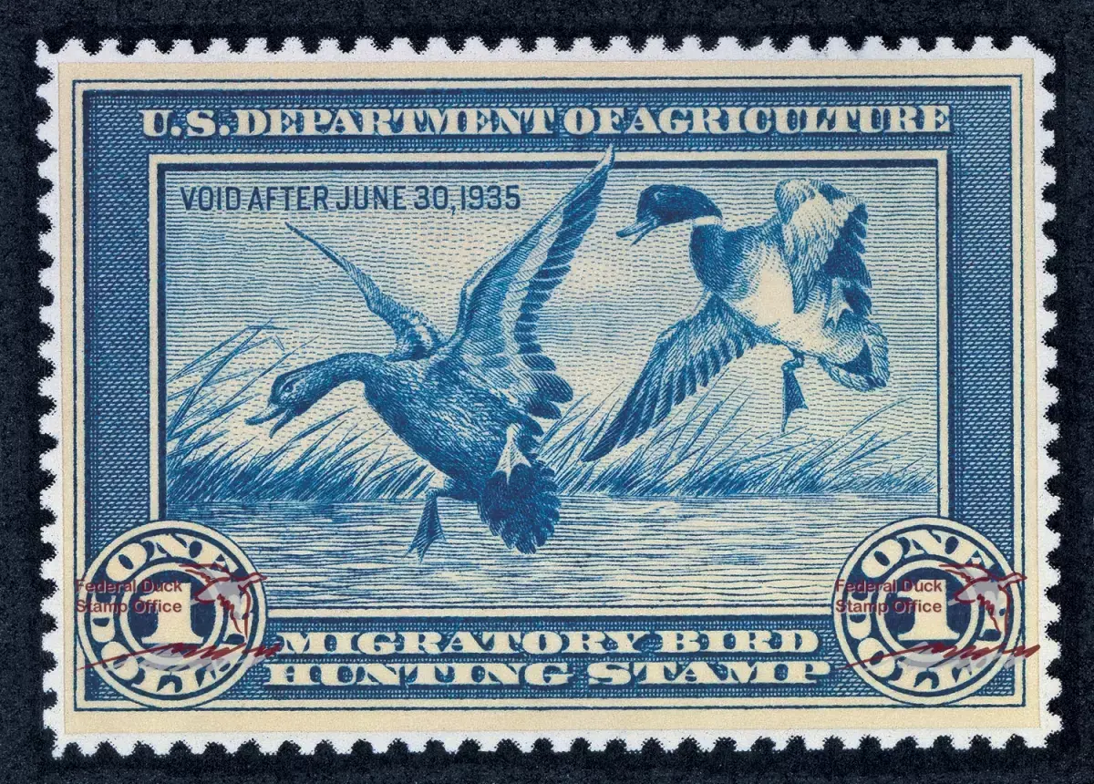 The 1934 Federal duck stamp