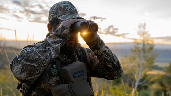 Bushnell Binoculars and Bino Harness