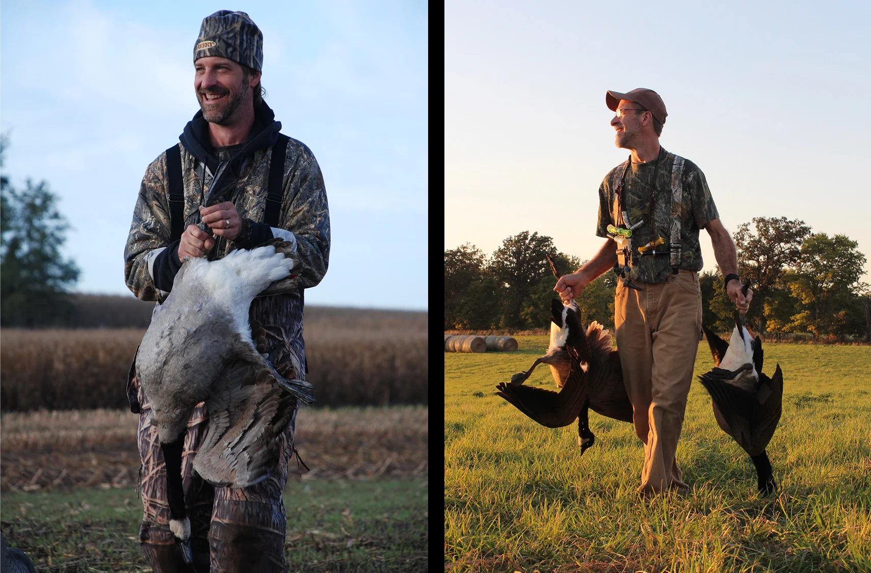 Early Canada Geese