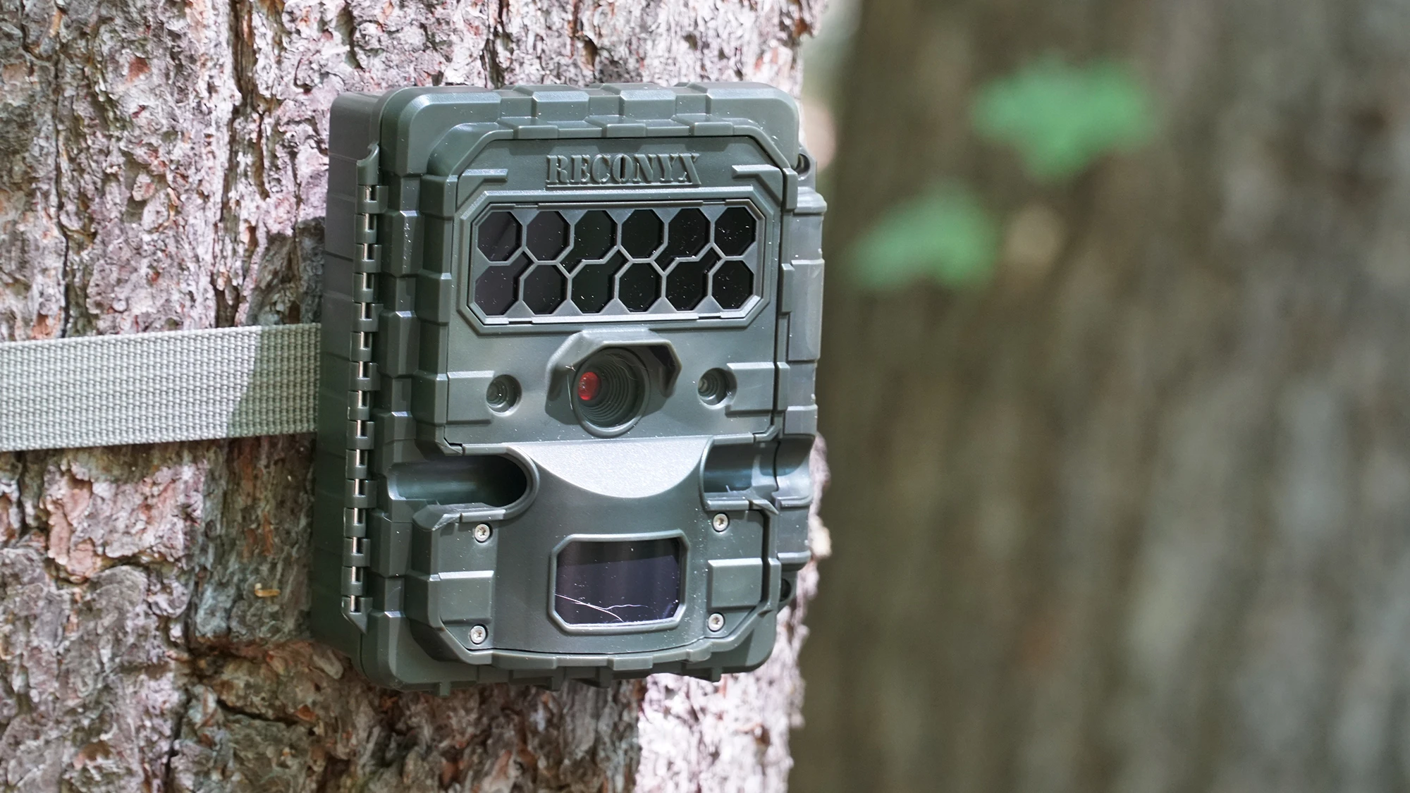 Reconyx Hyperfire trail camera attached to a tree.