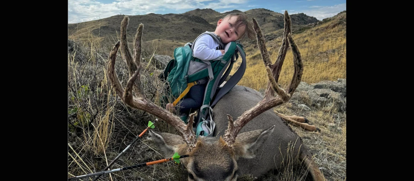 A big 5x5 mule deer taken by a hunter with a toddler in backpack. 