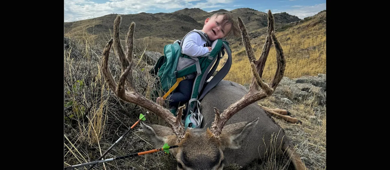 A big 5x5 mule deer taken by a hunter with a toddler in backpack.
