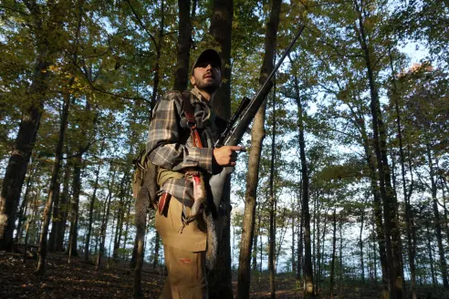 A squirrel hunter looking for squirrels in the treetops.