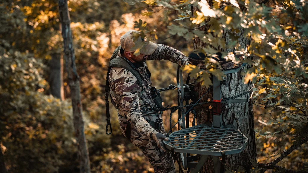 A hunter in camouflage hangs a tree stand high in an oak tree. 