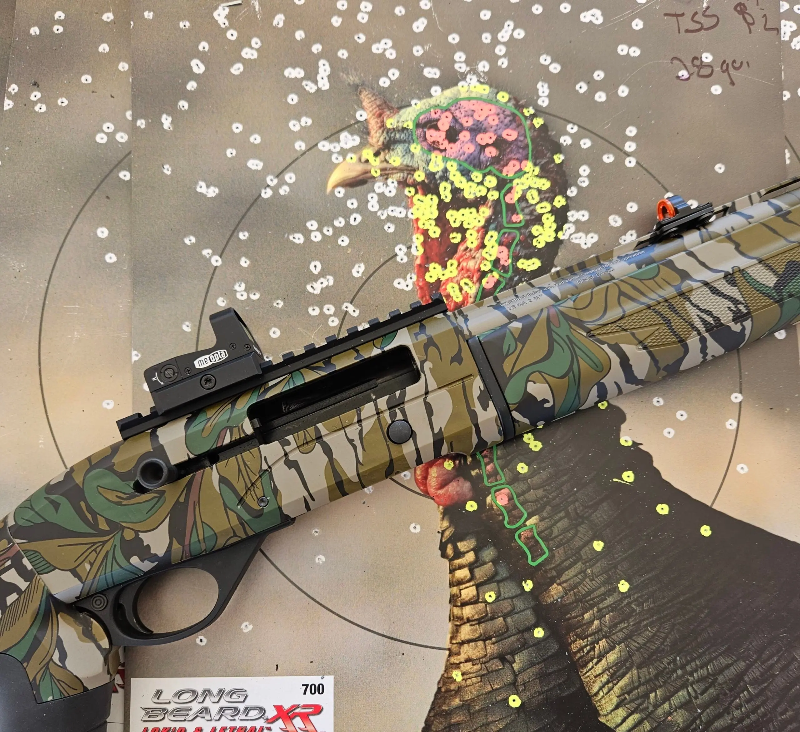 A Mossberg SA 28 with a turkey target.