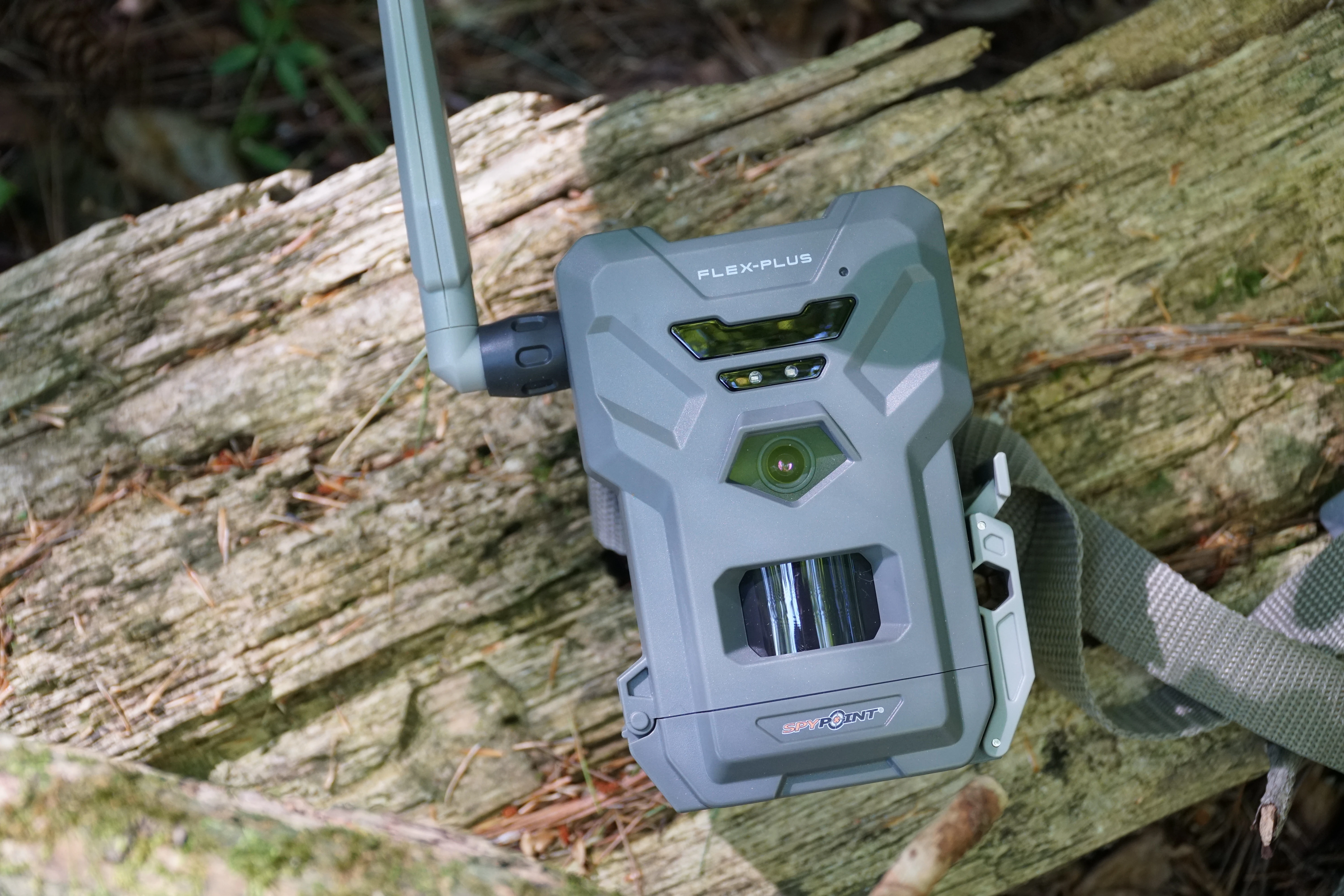 The new Spypoint Flex-Plus cellular trail camera attached to a tree.