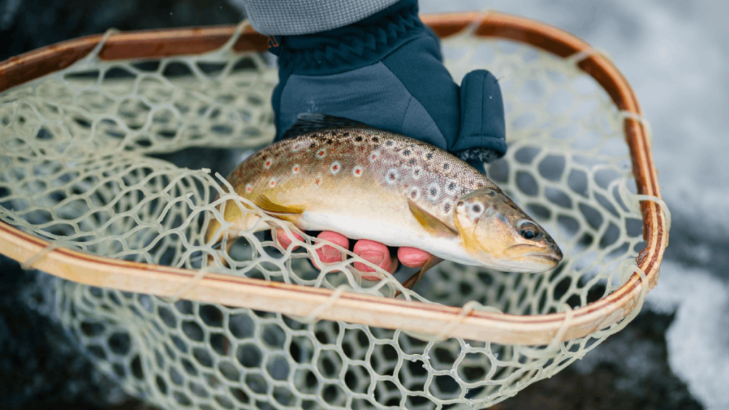 brown-trout-lures