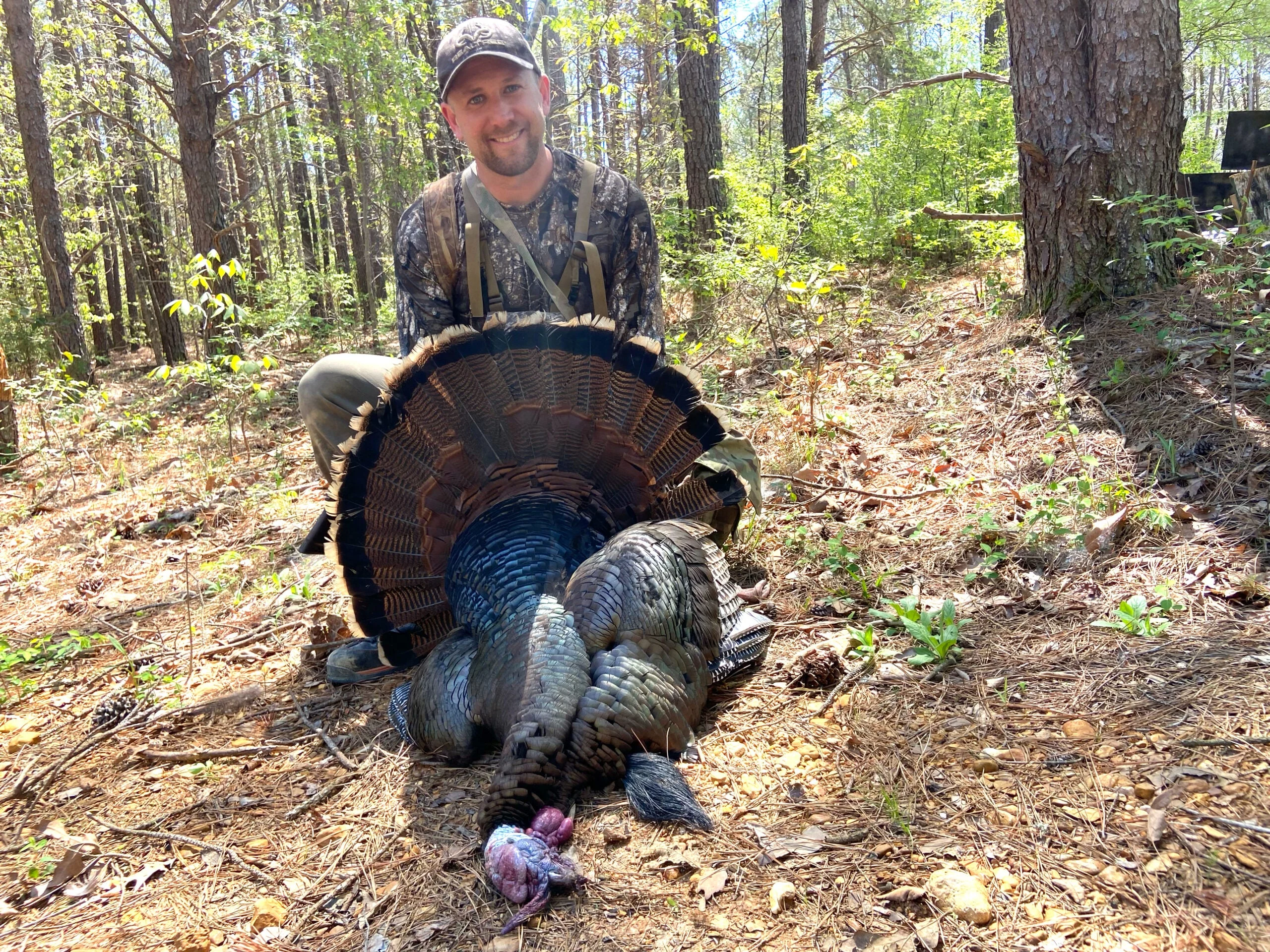 A hunter kneels on pine needles in the woods showing off a tom turkey.