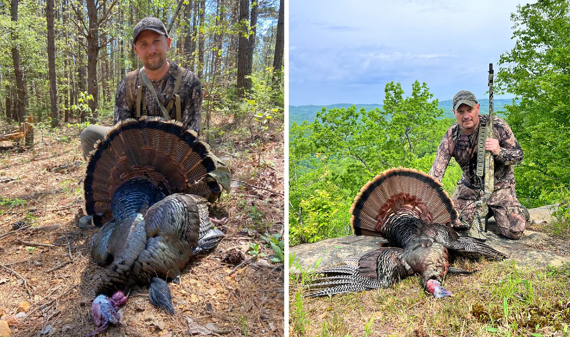 Turkey hunters Will Brantley and Travis Faulkner show up a pair of spring gobblers. 