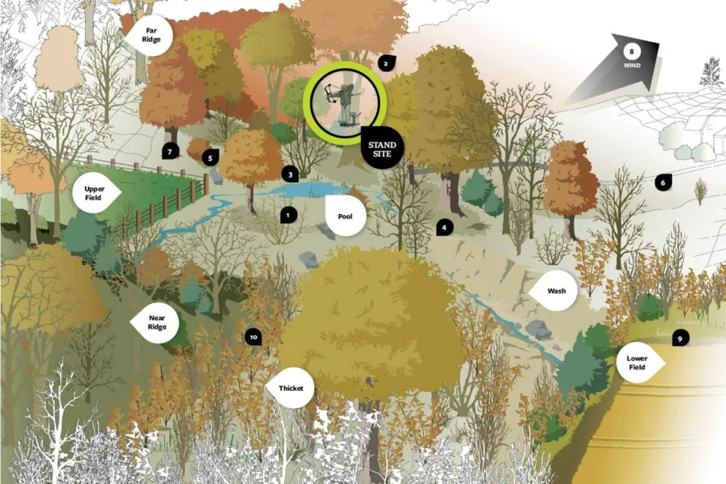 whitetail deer hunting stand hotspot