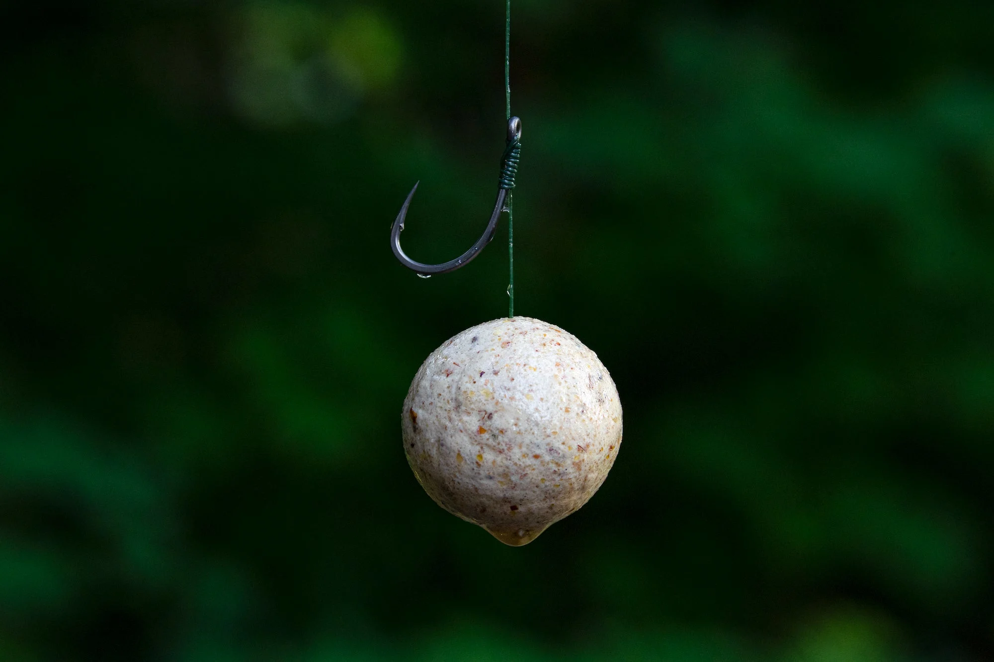 photo of a rig for how to catch carp