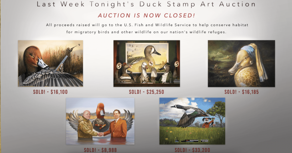 John Oliver Duck Stamps