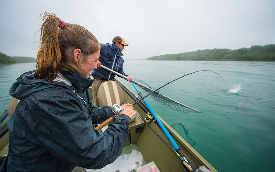 A salmon comes to net in Alaska.