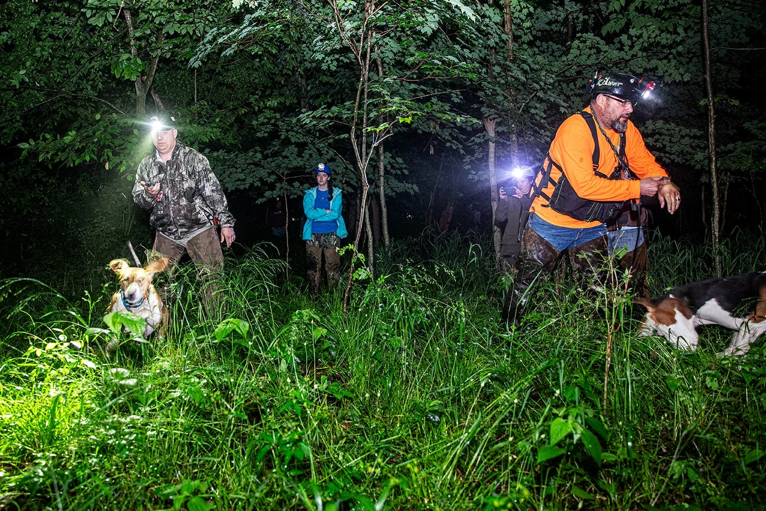 two men release hunting dogs into woods as third person looks on