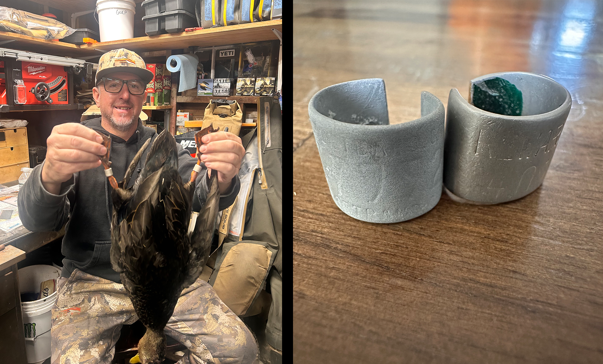 Black duck band homepage