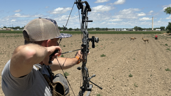 Man shooting Hoyt compound bow at target